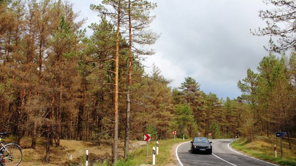 Miško pramonės atstovai nepatenkinti ministerijos ruošiamomis įstatymų pataisomis – nori tęsti Nacionalinį miškų susitarimą