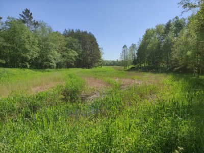 Pavilnių ir Verkių regioninių parkų direkcijos nuotr.