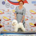 Lietuvių pasiekimai Azijoje: čempiono titulais įvertinti šunys ir televizijos dėmesio sulaukę gaminiai