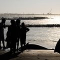 Nafta ir godumas tapo 900 delfinų žūties priežastimi?