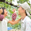 Japonizmas: kaip japonai pasisemia sveikatos iš gamtos