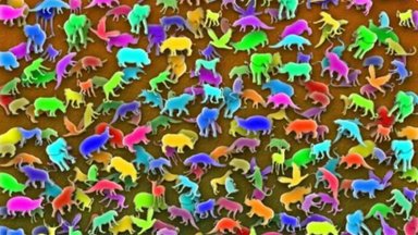 Optinė iliuzija: ar per 11 sekundžių rasite tarp žaislinių gyvūnų paslėptą žirafą?