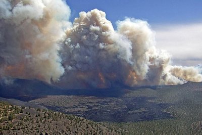 Miškų gaisrai JAV