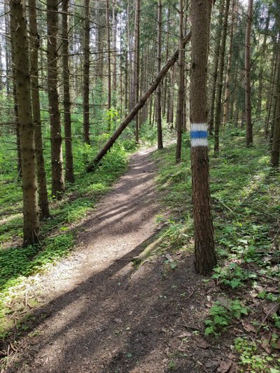 Pavilnių ir Verkių regioninių parkų direkcijos nuotr.