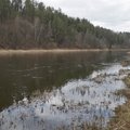 Dėl lietaus Lietuvos upėse fiksuojamas padidėjęs vandens lygis