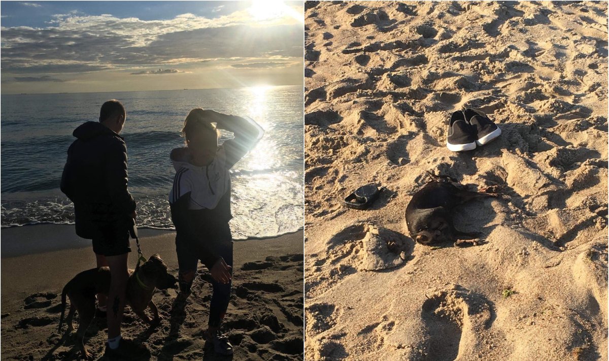 Paplūdimyje sudraskytas šuo