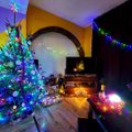 Pora iš Vilniaus rajono savo butą pavertė kalėdine pasaka: kam džiaugsmo nereikia – tegul sėdi be eglės