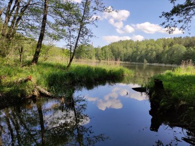 Pavilnių ir Verkių regioninių parkų direkcijos nuotr.