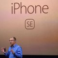 „Apple“ paslaptys atskleistos: „iPhone“ galės įsigyti bet kas