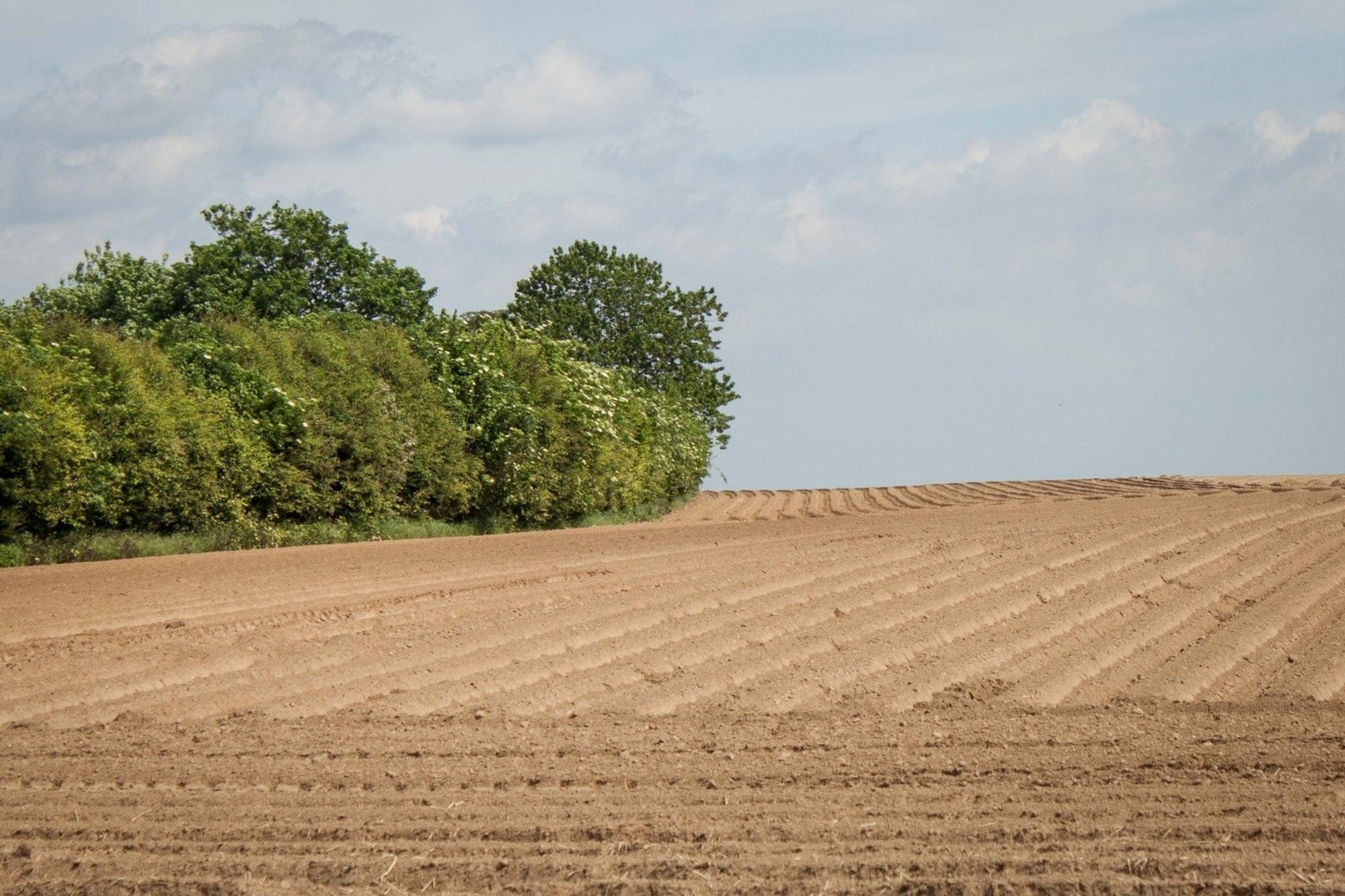 Litwa nadal pozwoli polskim rolnikom