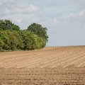 Ką reikia žinoti, jei deklaruoti pievų plotai sumažėjo