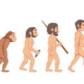 Žmogaus evoliucija: vyrai pastambės, o motinos bus jaunesnės