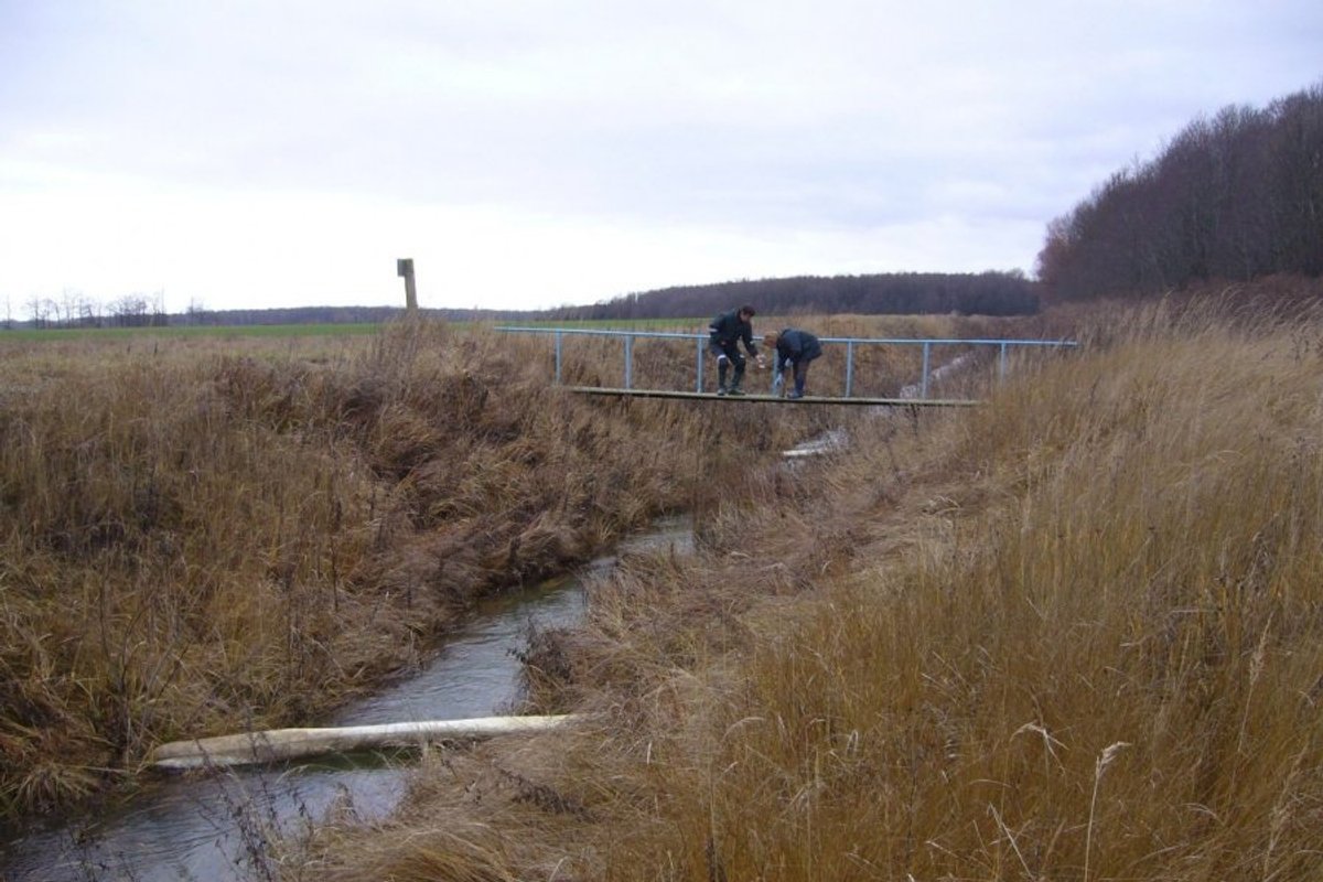 Panevėžio r. dingusiu laikytas vyras rastas negyvas melioracijos ...