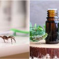 Kaip namuose atsikratyti vorų? Padeda pigi, veiksminga ir natūrali priemonė