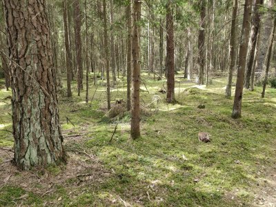 Pavilnių ir Verkių regioninių parkų direkcijos nuotr.