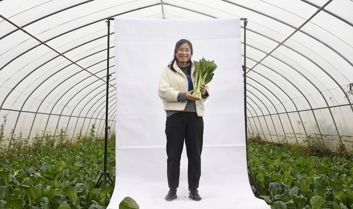 Feng Yahong, ūkininkė ir verslininkė, padėjusi vietinėms moterims išbristi iš skurdo, jas įdarbinusi daržovių ūkyje