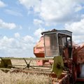 Lithuania's 2014 grain harvest hits all-time record