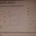 Antrokams skirto uždavinio neišsprendė net profesionalas: ar pavyks šią užduotį išspręsti Jums?