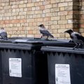 Vilniaus regione – bylų dėl nesumokėtos rinkliavos už komunalinių atliekų tvarkymą šuolis