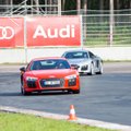 Sportinio vairavimo pamokos su „Audi“: kaip sutramdyti 610 „arklių“
