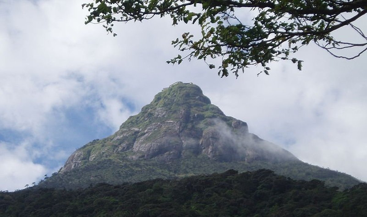 Adomo viršukalnė (Šri Lanka)