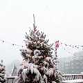 Vaizdo stebėjimo kameros užfiksavo pūgą Vašingtone: pasiglemžė Kalėdų eglutę ir jaukė planus Bidenui