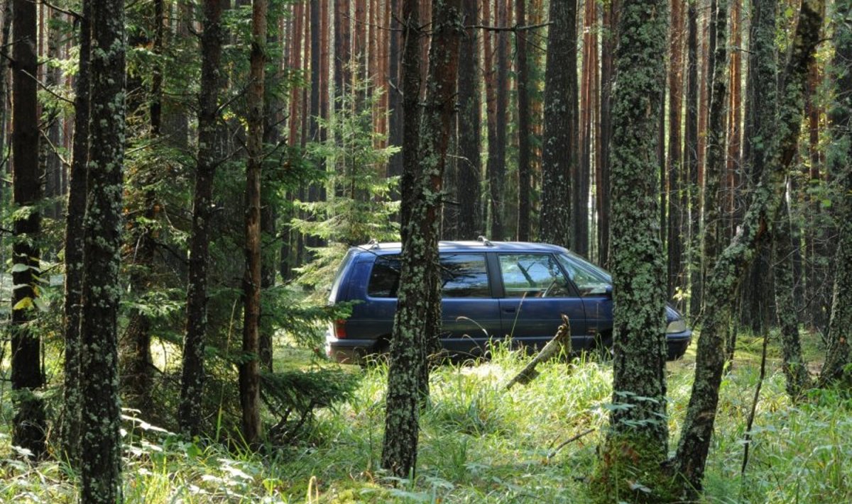Aplinkosaugininkai miškuose turės įgaliojimus bausti vairuotojus
