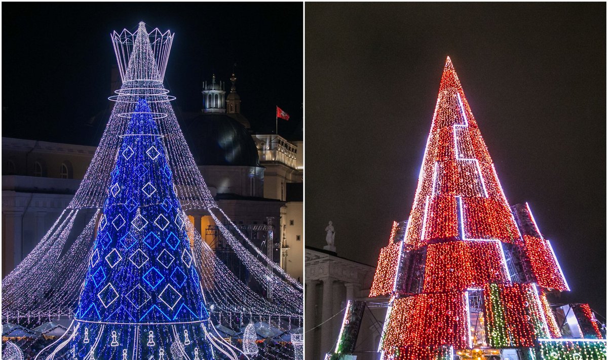 Vilniaus Kalėdų eglės, 2019 ir 2020