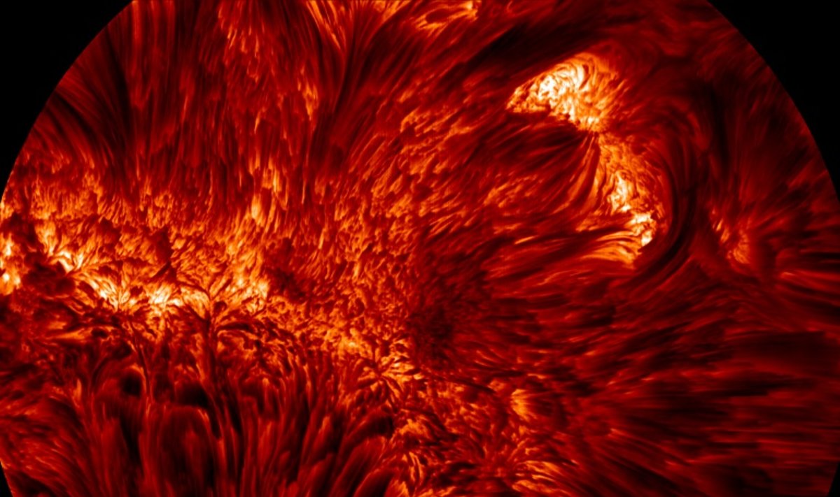 Saulės magnetinės kilpos (NJIT nuotr.)