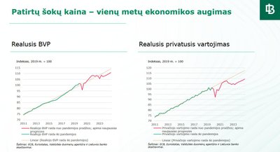 Patirtų sukrėtimų kaina Lietuvos ekonomikai