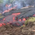 Lava iš Havajų ugnikalnio artėja prie gyvenamųjų namų