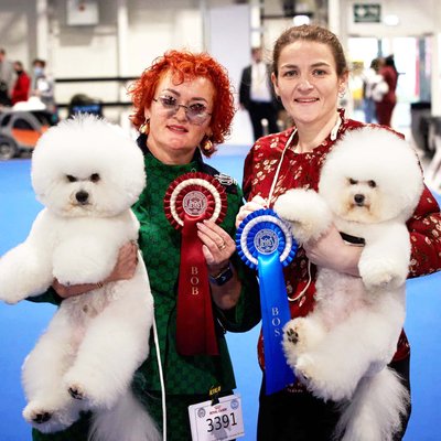 Janita Januškauskaitė-Plungė ir Vaida Petkevičiūtė su pirmaisiais laimėtojais Europos šunų parodoje 2021 Vengrijoje
