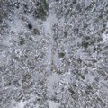Nuo sniego nukentėję ūkininkai kreipiasi lengvatinių paskolų