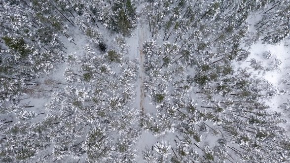 Nuo sniego nukentėję ūkininkai kreipiasi lengvatinių paskolų