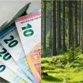 Miškų kainos Lietuvoje: kodėl už tokį patį plotą galite sumokėti trimis kartais daugiau