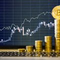 „Bitcoin“ dominavimas kriptovaliutų mokėjimuose mažėja: populiarėja kitos rūšys