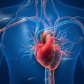 Ši širdies liga negydoma baigiasi mirtimi: gydytojams ją išduoda vienas simptomas