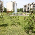 Vilniečių kova už mišką atskleidė savivaldybės planus: dalį Vilniaus užstatys daugiabučiais