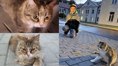 11 metų Martynas turi svajonę: ragina nelikti abejingiems benamėms katėms