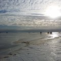 Siūloma dešimteriopai didinti baudas nedrausmingiems žvejams ant Kuršių marių ledo