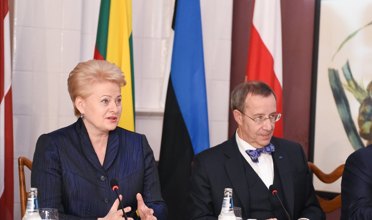Dalia Grybauskaitė and Toomas Hendrik Ilves