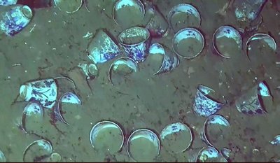 San Jose laivo lobiai. Armada de la República de Colombia/REMU/ Woods Hole Oceanographic Institution/AFP nuotr.