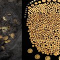 Istorinį aukso lobį kukurūzų lauke aptikęs vyras nepatikėjo savo akimis: po žeme – 700 monetų, kurios dabar vertos milijonų