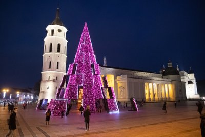 Vilniaus eglė
