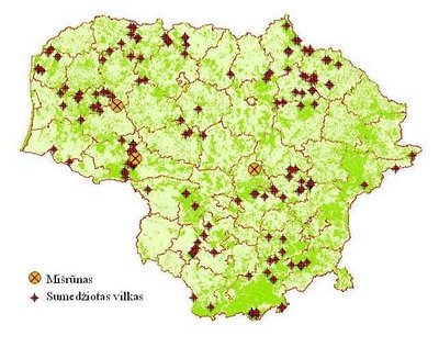 Renatos Špinkytės-Bačkaitienės daktaro disertacijos statistika - kur buvo sumedžioti trys šunų ir vilkų mišrūnai