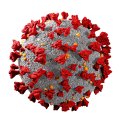 Medikai prognozuoja koronaviruso pasekmes – trečiąja banga taps lėtinės ligos