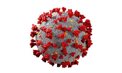 Koronavirusas