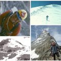 Teisėjas B. Varsackis – įsimylėjęs alpinistas: kita stotelė – Everestas