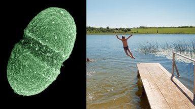 Specialistai įspėja į šį vandens telkinį Lietuvoje nekelti nė kojos: užsiveisė pavojingi parazitai