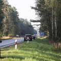 Draudikai pastebi naują grėsmę Lietuvos keliuose – užkliuvo grybautojai